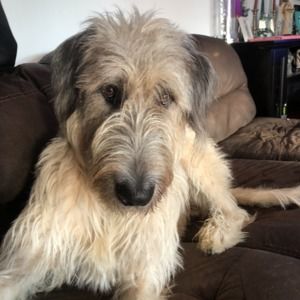 Meet your Posher, Jenn